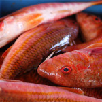 triglie ai semi di finocchio - Cucina di Sicilia