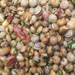 Babbaluci ru fistinu - Cucina di Sicilia